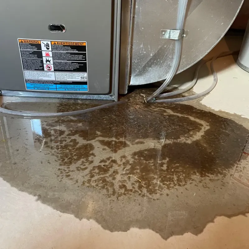 Appliance Leak Cleanup in Nicholas County, KY