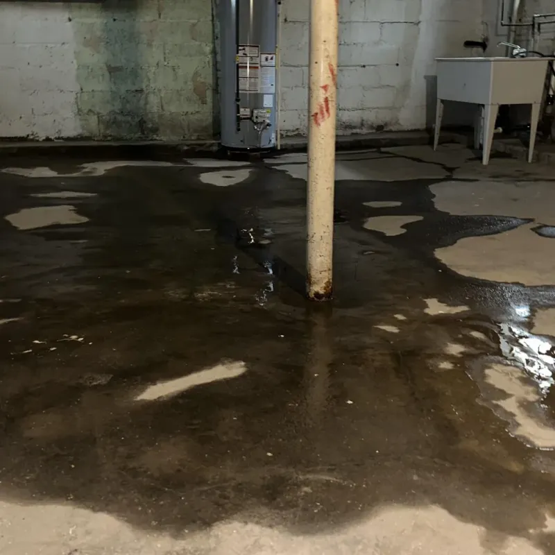 Emergency Water Extraction And Removal in Nicholas County, KY